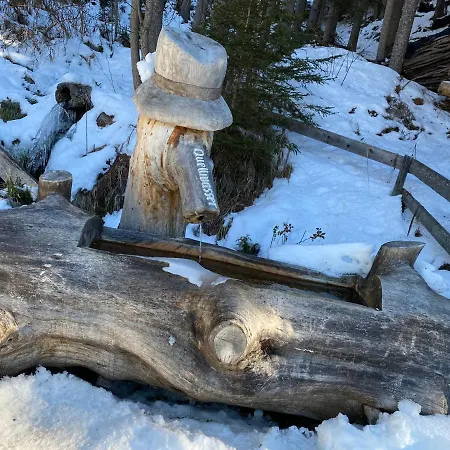 3 Personen Alleinlage Auf 1500m Am Waldrand Und Skigebiet Hochzeiger *