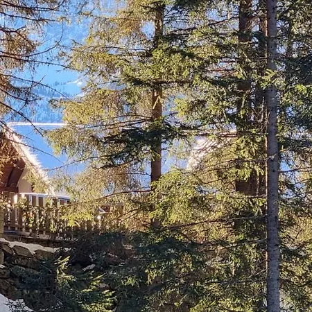 公寓 3 Personen Alleinlage Auf 1500m Am Waldrand Und Skigebiet Hochzeiger *